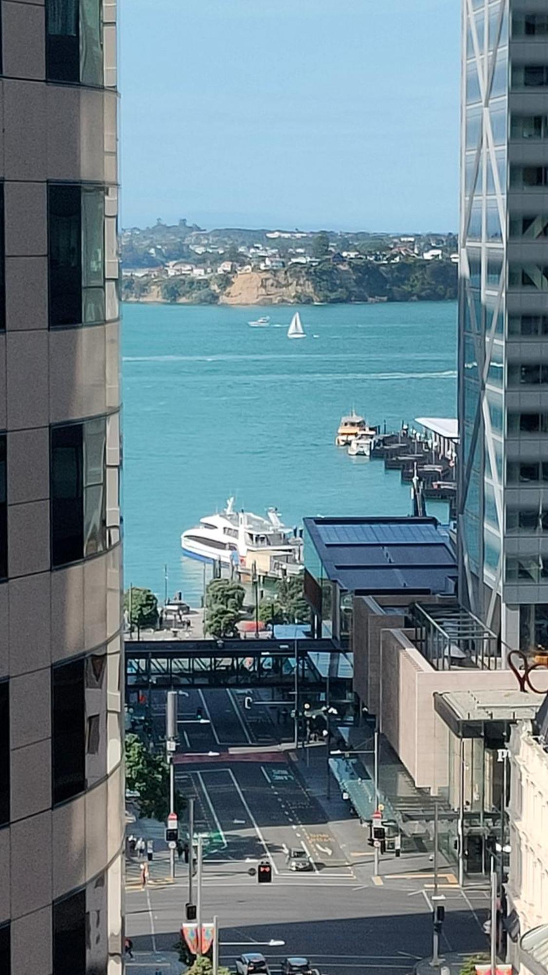 20 Pct Off Sky Stars Park Apartment Auckland Rom bilde