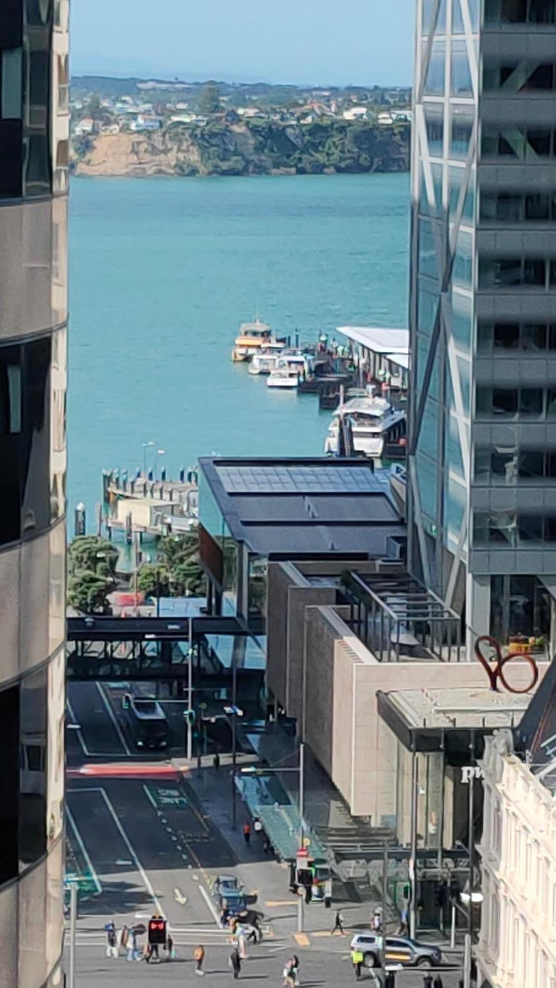 20 Pct Off Sky Stars Park Apartment Auckland Eksteriør bilde