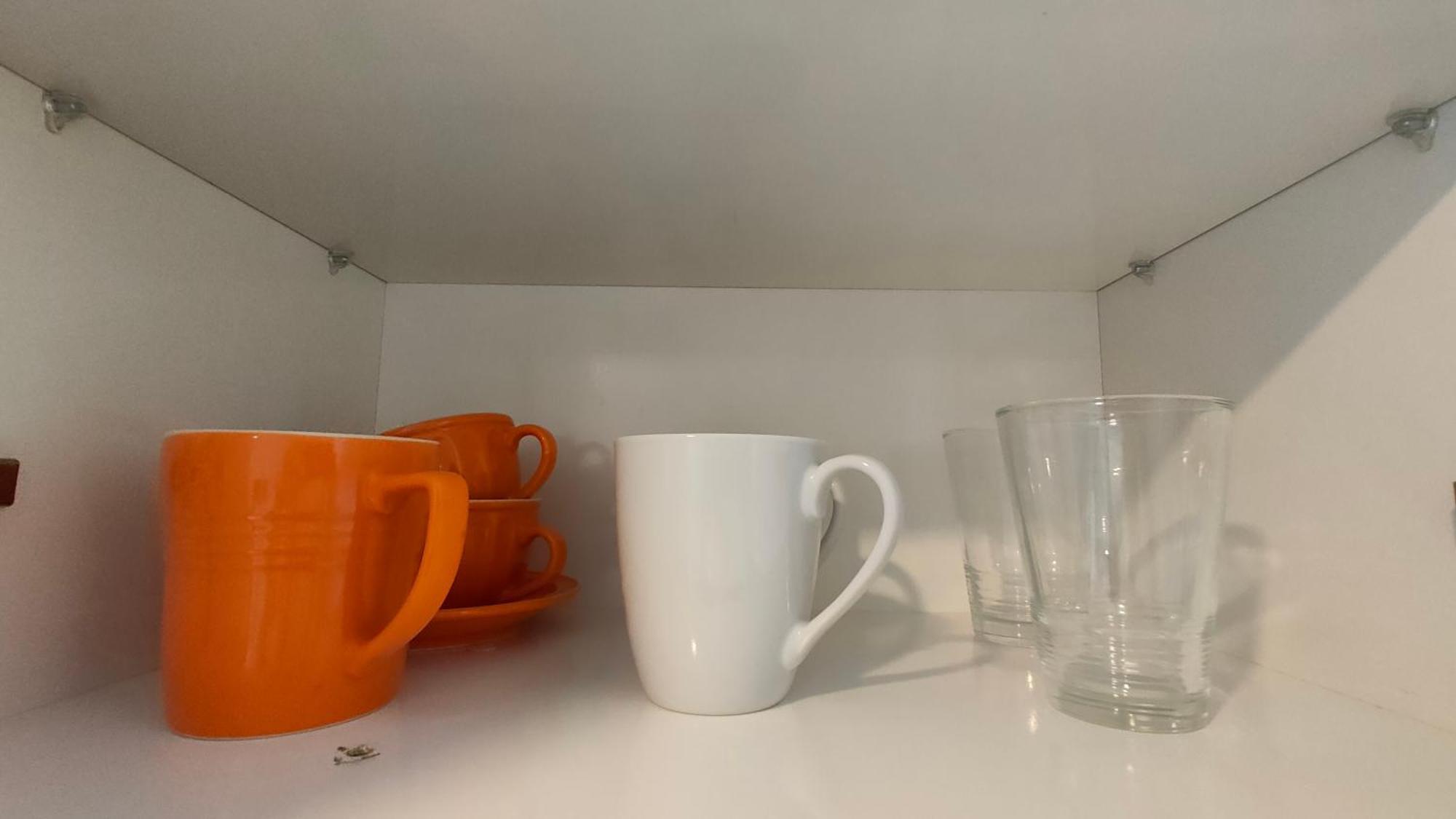 20 Pct Off Sky Stars Park Apartment Auckland Eksteriør bilde